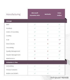 ERP小金剛Pro專(zhuān)業(yè)大比拼 Dynamics 365、NetSuite與Odoo定制化深度解析